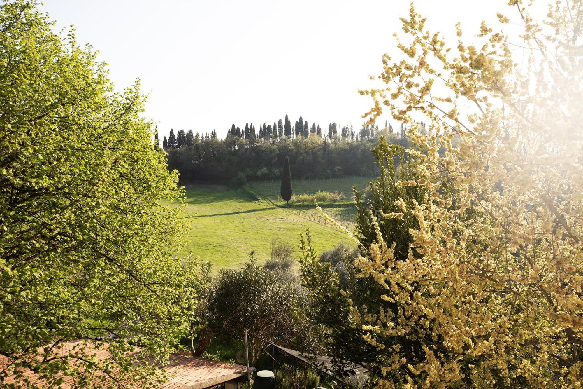 Relais La Rocca Solferino Bed & Breakfast Eksteriør bilde